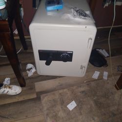 Push Mower And A Safe