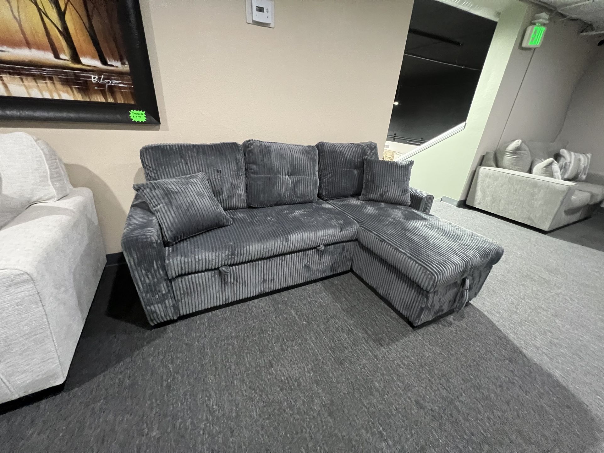 Sofa Sleeper 🎉🎉🎉