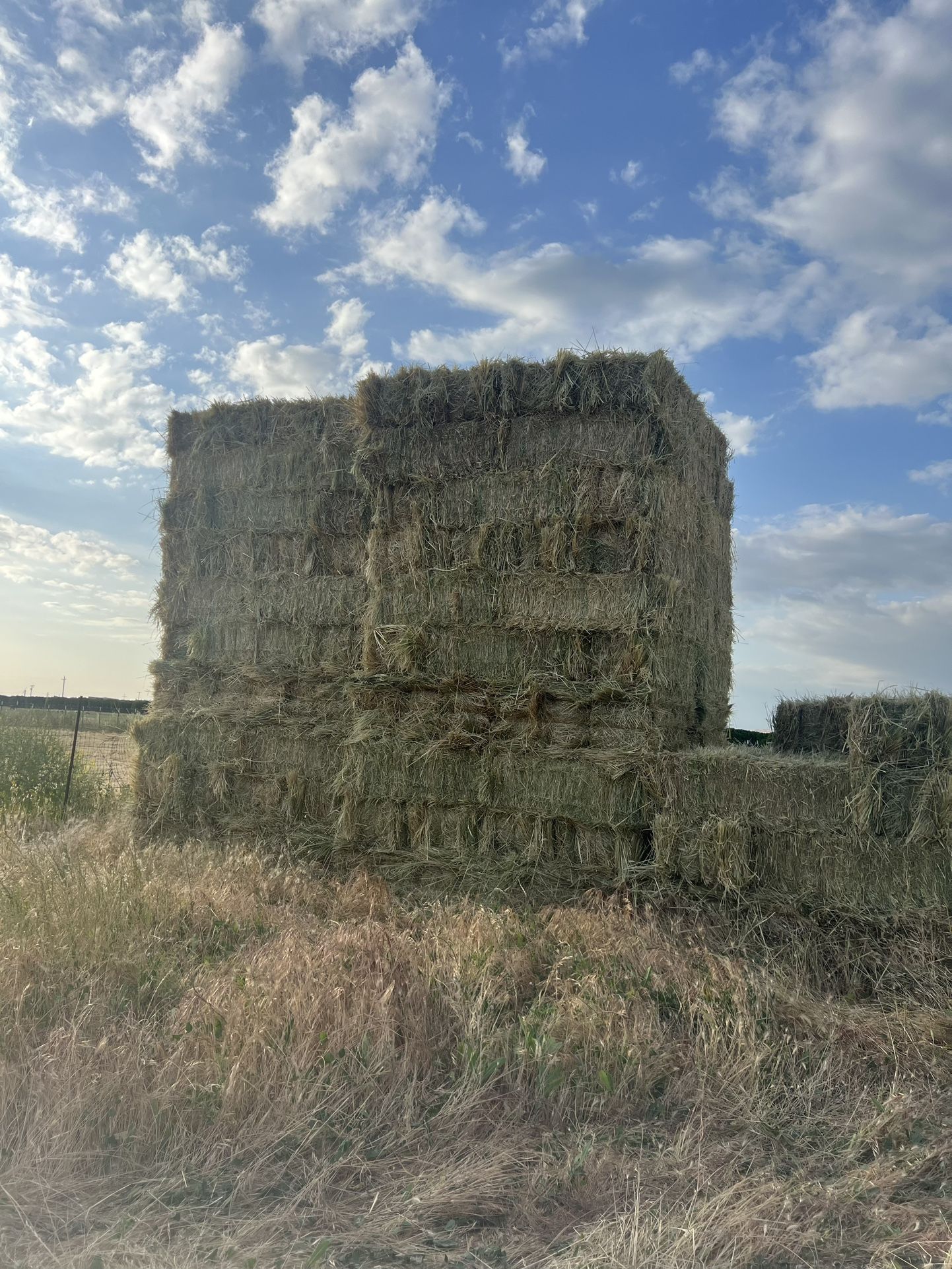 Hay (3 Way)