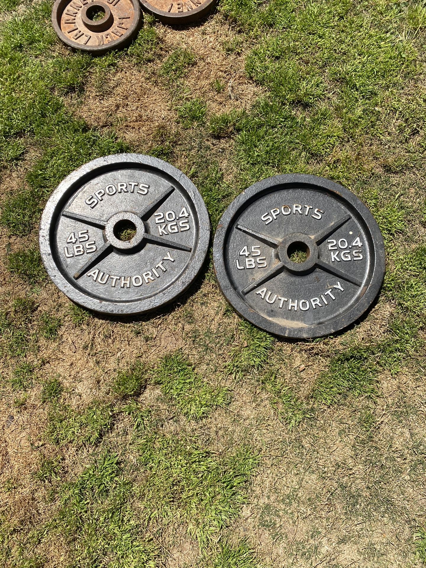 Sports Authority 45lb Olympic Weight Plate Set