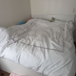 Bed Frame 