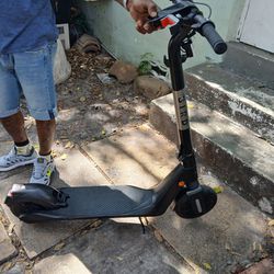 Standing Electric Scooter