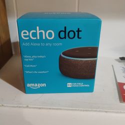 Echo Dot