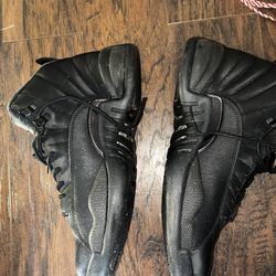 Mens Jordan 12 shoes