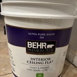 White Paint Brand New Unopened 