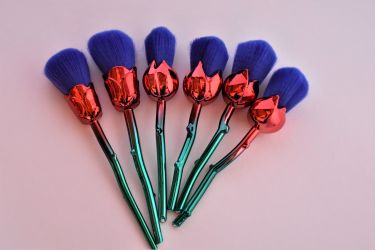 6pcs makeup brush set