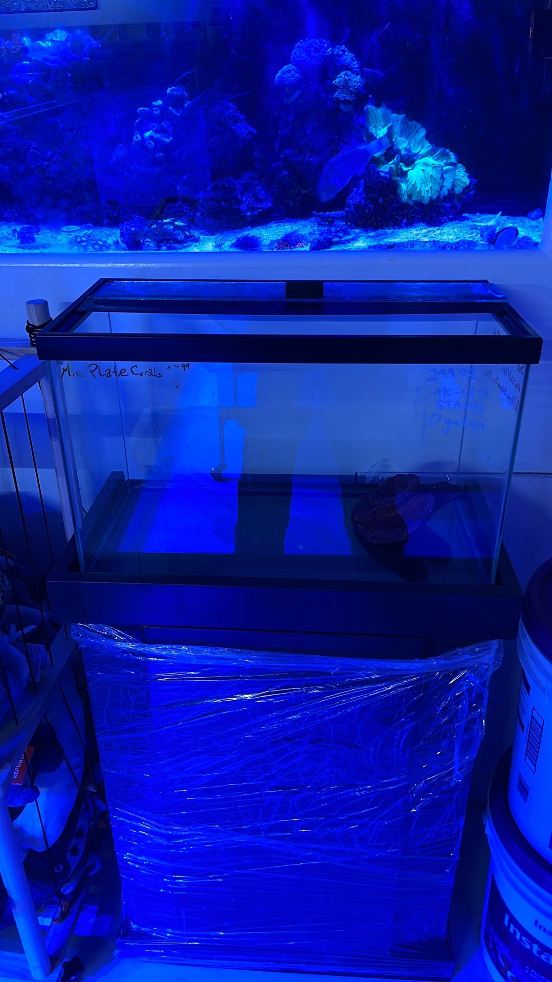 10 Gallon Aquarium With Stand And Lid