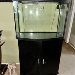 36 Gallon Aquarium Tank