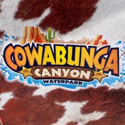 I have 3  tickets for The water park , 60$ For All 3.