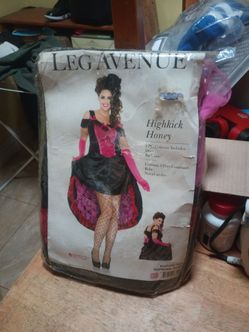 Highkick Honey Costume