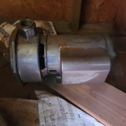 Shallow Well Pump Stainless Steel