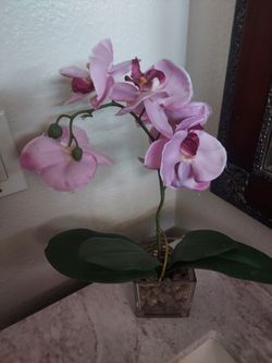Artificial Plant