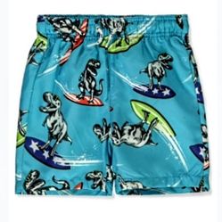 Toddler Boy Swim Trunks 