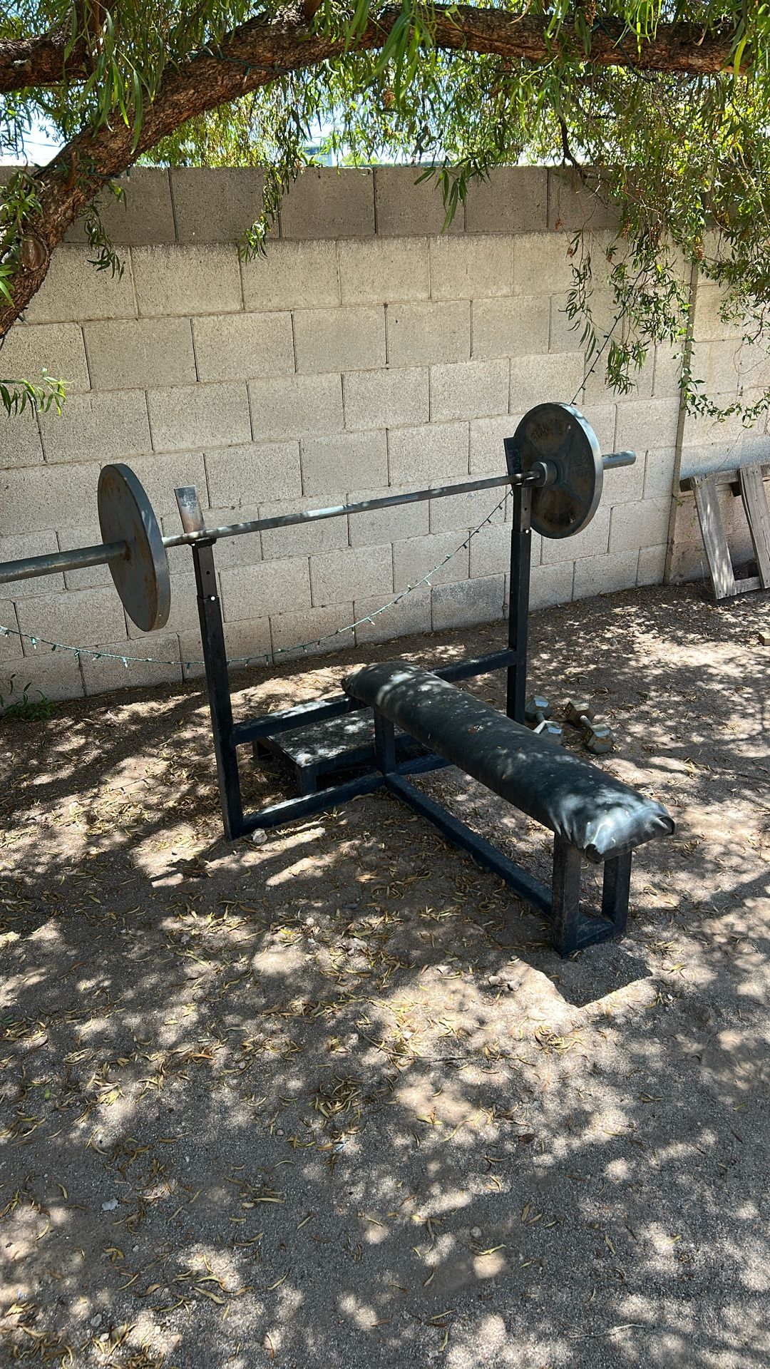 Bench Press