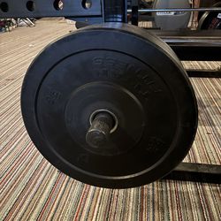 45 lb Bumper Plates Pair