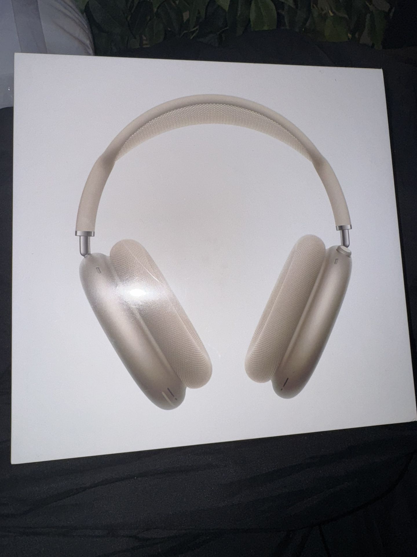 Airpod Max (Gold)