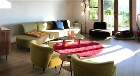 Room & Board Sofa