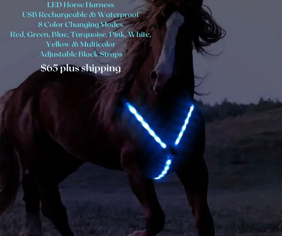 Brand New LED Horse Harness