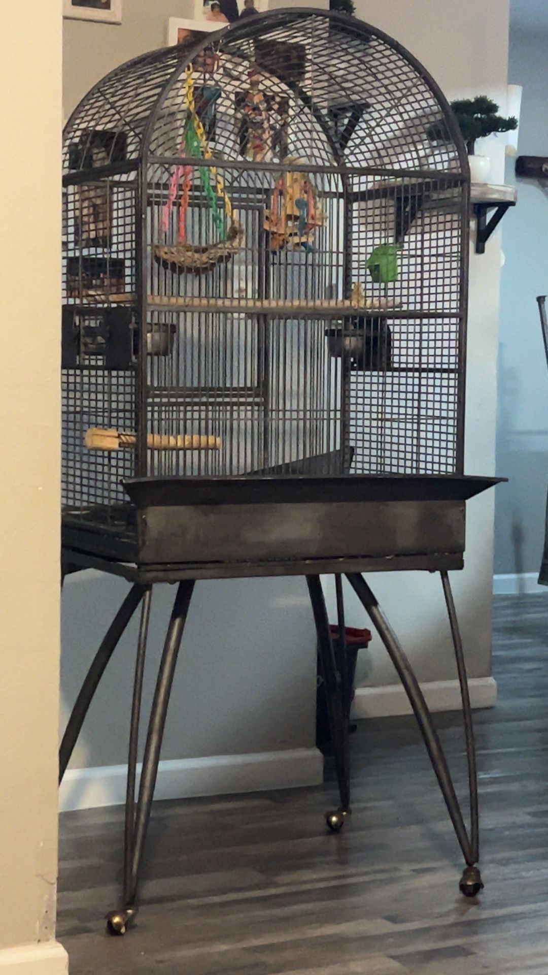 Round Too Bird Cage With Wheeled Stand