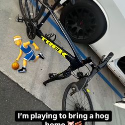 Trek Bike
