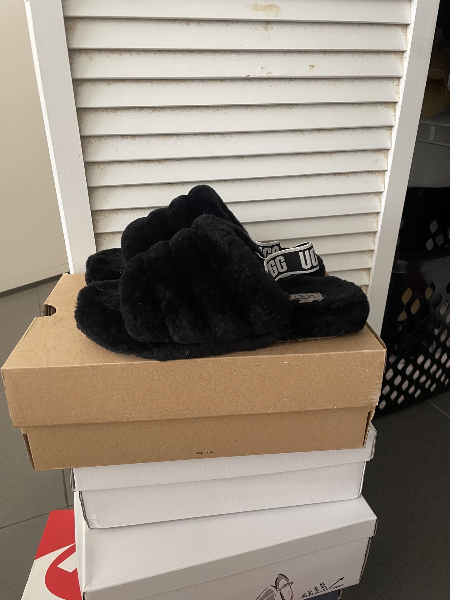 Original UGG Slippers