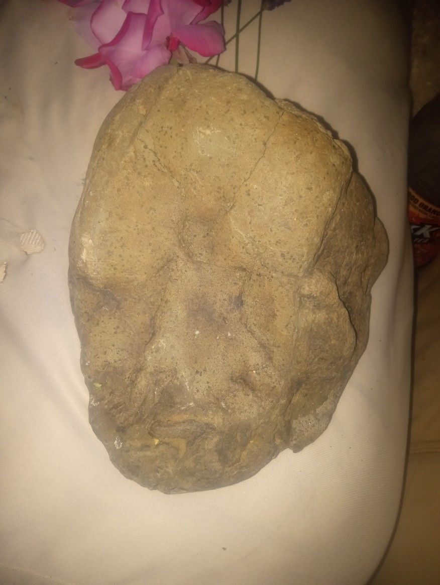 Fossilized Face