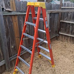 6ft 300lb Limit Werner Ladder