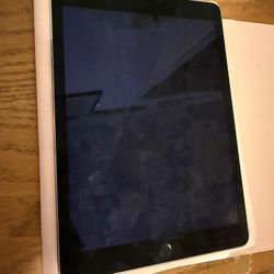 iPad Air 2 WiFi Only 