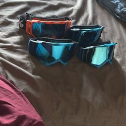 Fox goggles