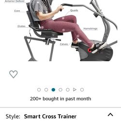 SUNNY RECUMBENT EXERCISE BIKE
