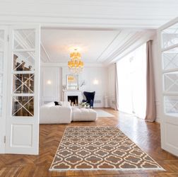 Area Rug 7’ x 5’