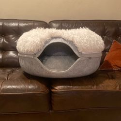 Cat Bed