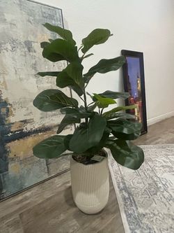 Faux Fiddle Leaf Fig Plant
