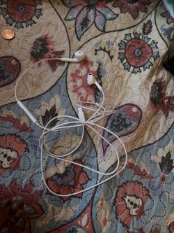 Earphones