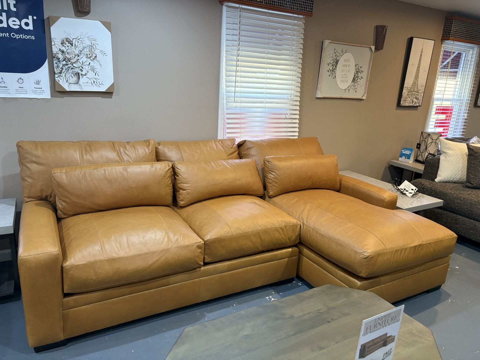 New Leather Sectional 