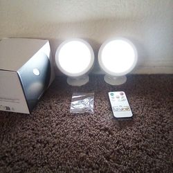 LED Wall Mounted Lights 