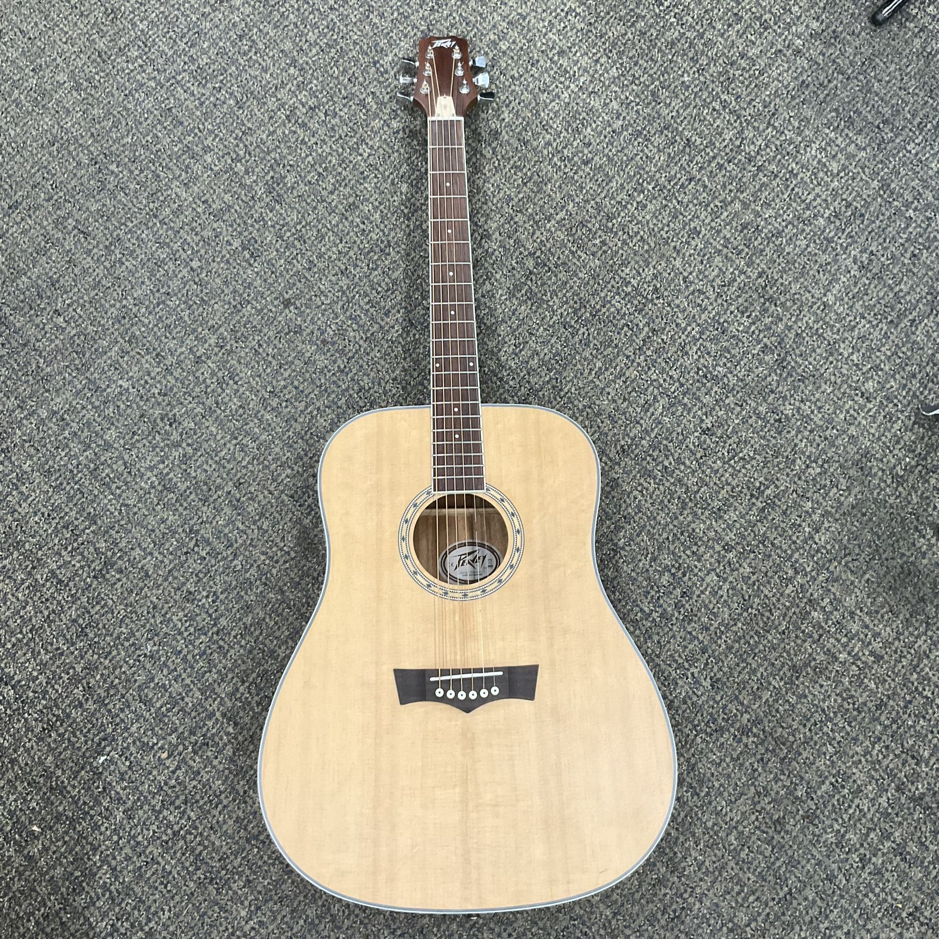 Peavey DW -2 Acoustic Guitar (No Case)