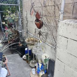 Alot Of Different Plants Different Pots And Plant Stands Everything For Sale!!!!