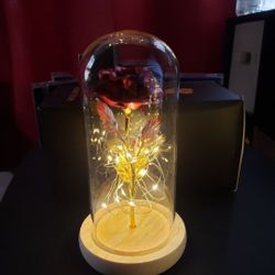 Beauty And The Beast Rose