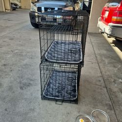 Two cages forty dollars each
