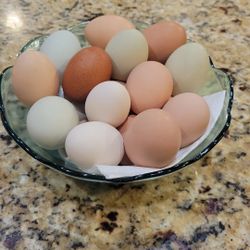 Vendo Huevo De Rancho