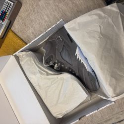 Jordan 5 Wolf Grey
