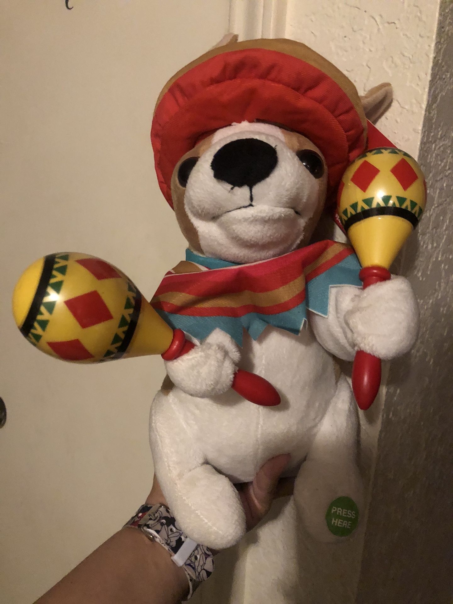 Mariachi Band Puppy