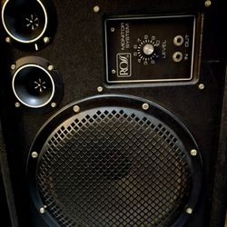 2 Ross Systems Model R-12PM 12 Inch Passive Monitor Pa Speakers