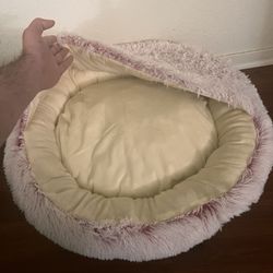 Two Pet Beds Barely Used