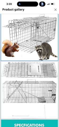 Live Animal Cage Trap, 31" x 11" x 12" Heavy Duty Folding Raccoon Traps, Humane Cat Trap for Stray Cats, Raccoons, Squirrel, Skunk, Mole, Groundhog, A