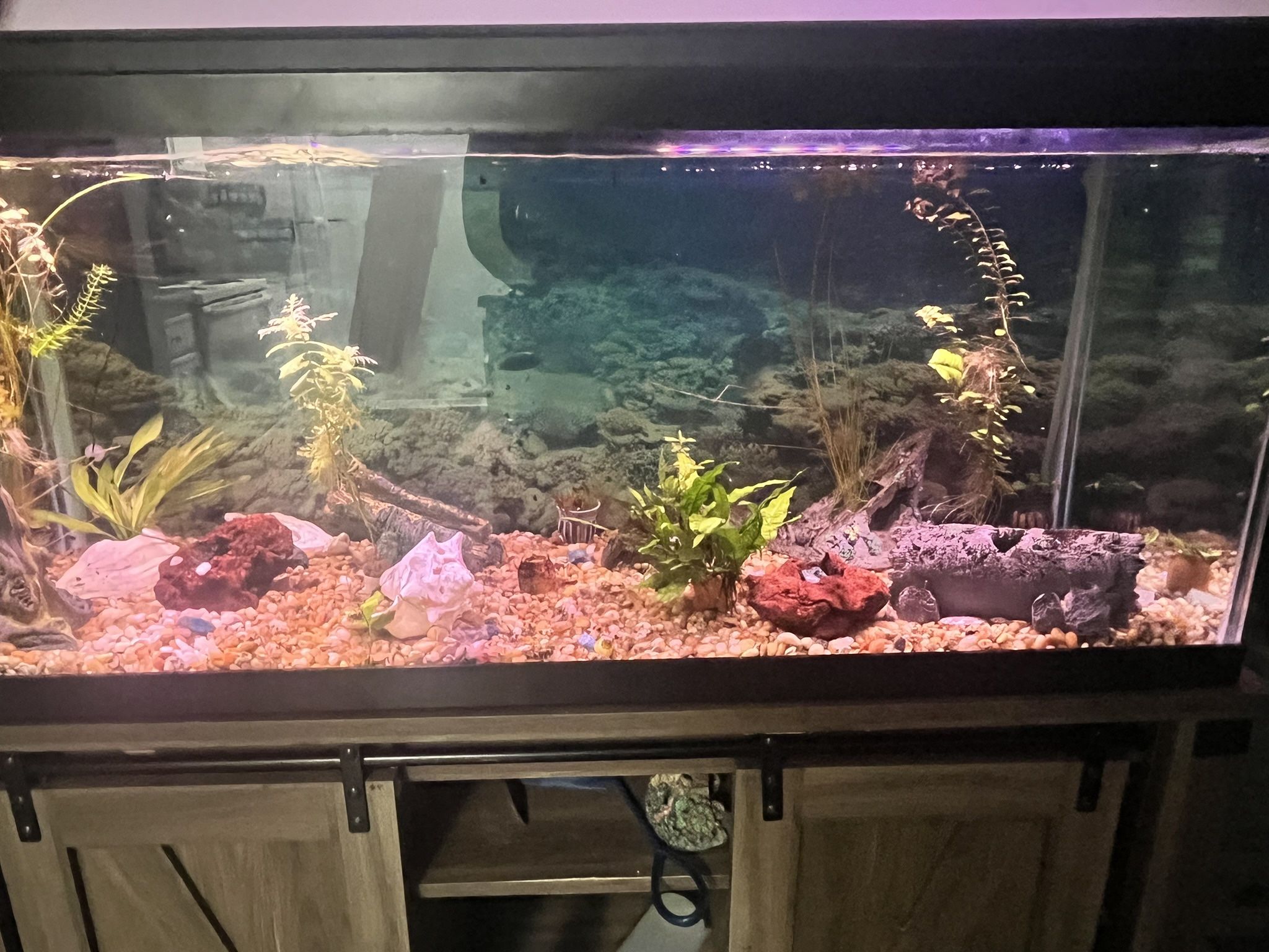 75 Gal Fish Tank with Stand