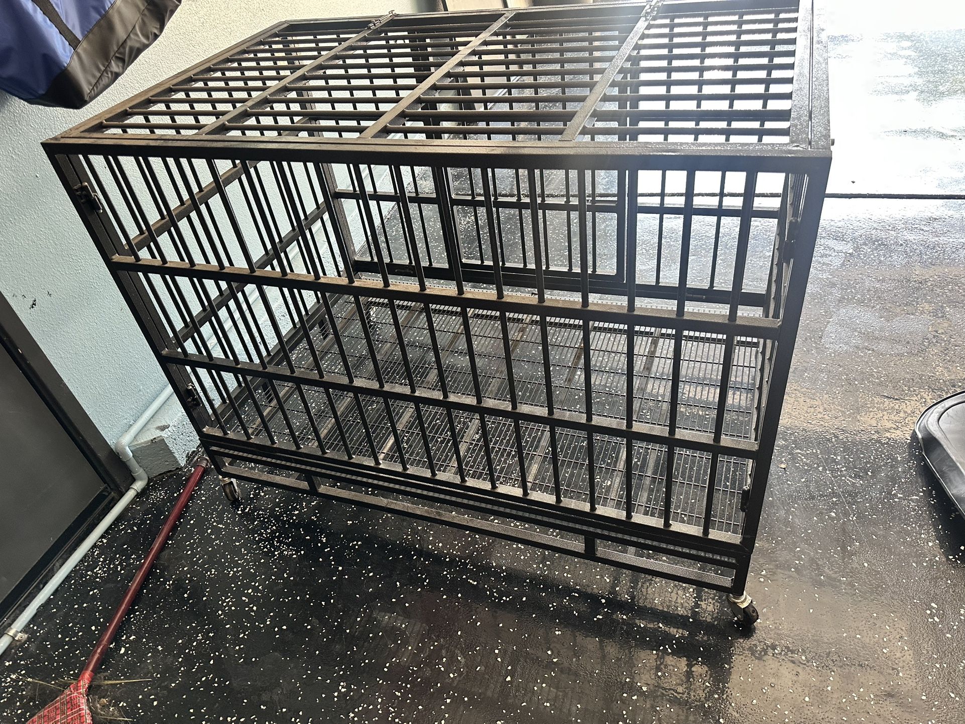 dog crate