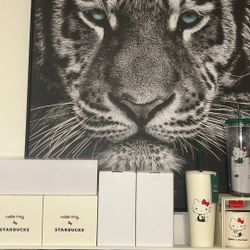 Starbucks Rare Items Bearista Cups And More! 