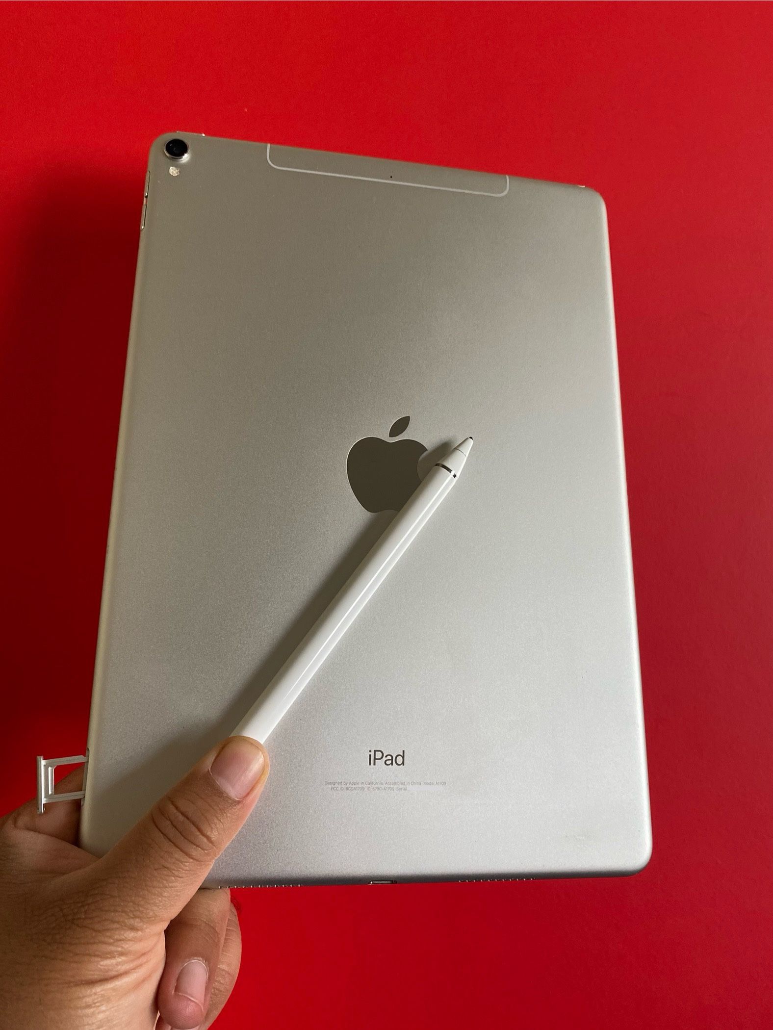 iPad Pro 10.5 256GB A1709 Apple Pencil付 【公式通販】